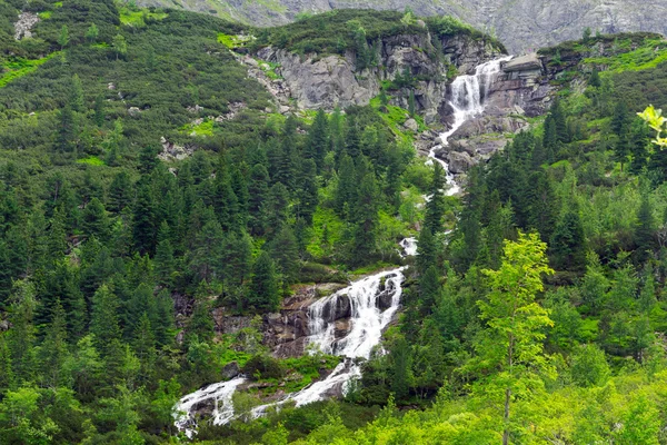 Cascades de ruisseau de montagne dans le parc national des Tatra — Photo
