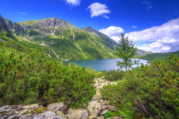 Oeil de la mer lac dans les montagnes Tatra — Photo