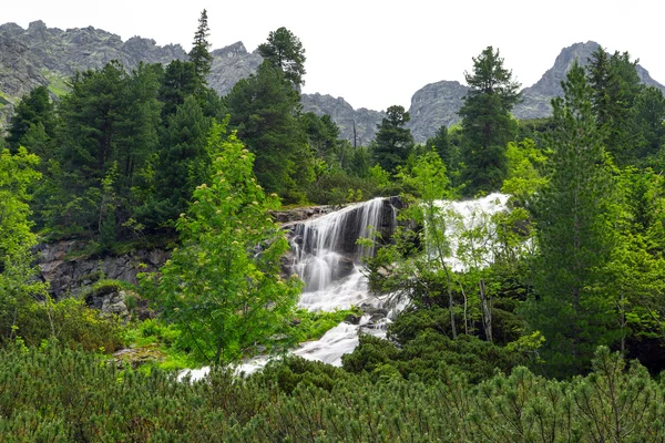 Kaskady górskiego potoku w Tatrzański park narodowy — Zdjęcie stockowe