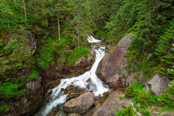 Cascade Wodogrzmoty Mickiewicza dans les montagnes Tatra — Photo