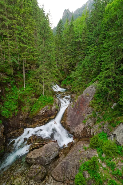 Wodogrzmoty Mickiewicza waterfall in Tatra mountains — Stock Photo, Image