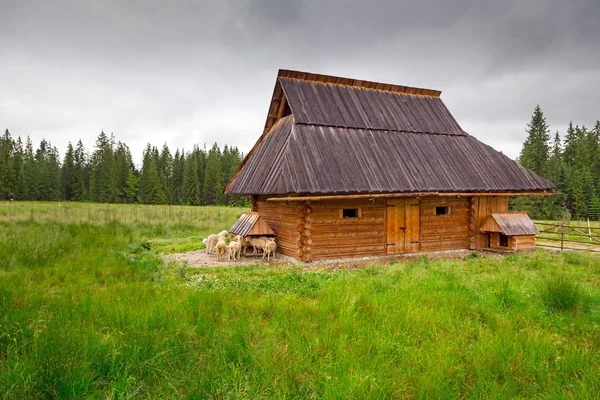 Cabaña de madera tradicional en las montañas de Tatra — Foto de Stock