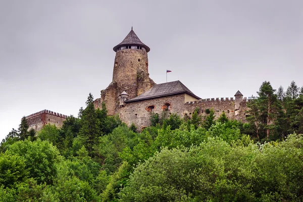 Gotik kale stara lubovna — Stok fotoğraf