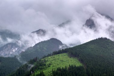 Zakopane, bulutlu gün Tatra Dağları