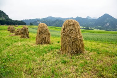 haystacks zakopane alanını