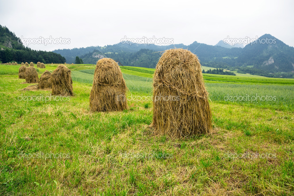 Haystacks on the field in Zakopane