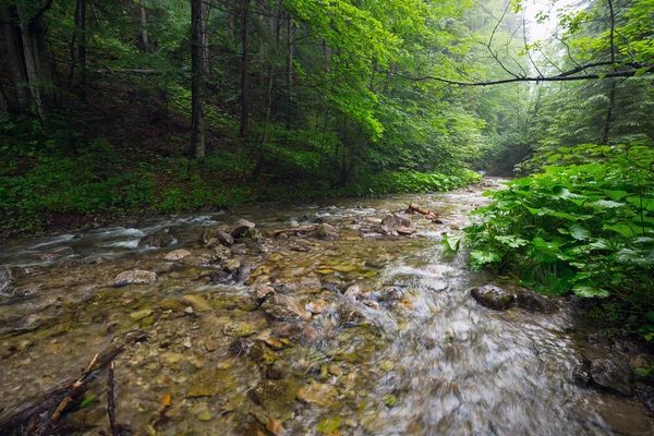 Rocky creek in Tatra mountains — Stock Photo, Image