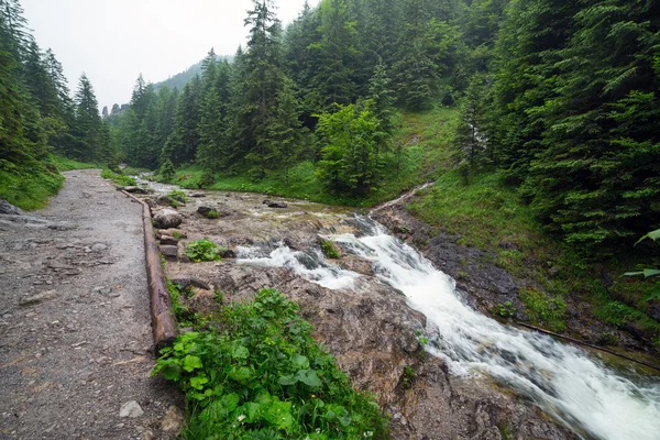 Ruisseau rocheux dans les montagnes Tatra — Photo