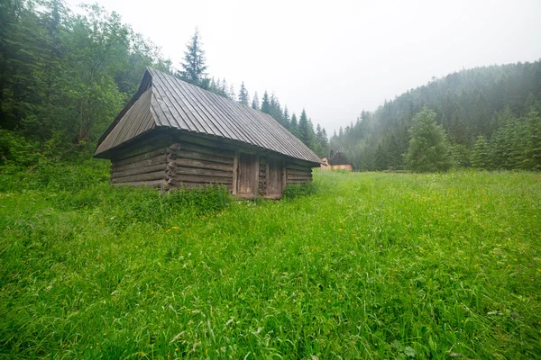 Drewniane Schronisko w lesie Tatr — Zdjęcie stockowe