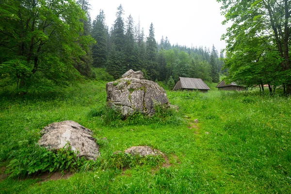 Drewniane Schronisko w lesie Tatr — Zdjęcie stockowe