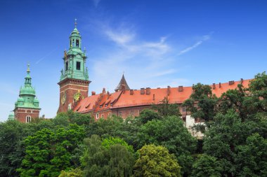 wawel Royal castle civarındaki cracow