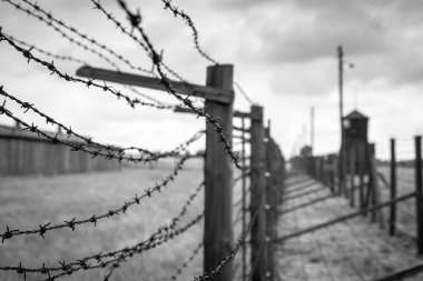 Majdanek toplama kampı, lublin, Polonya