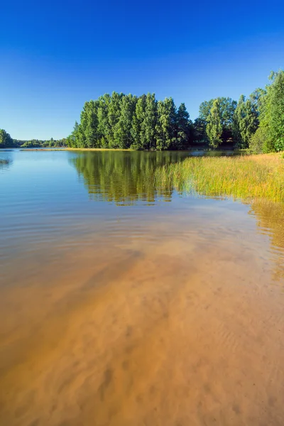 Paesaggio estivo al lago — Foto Stock