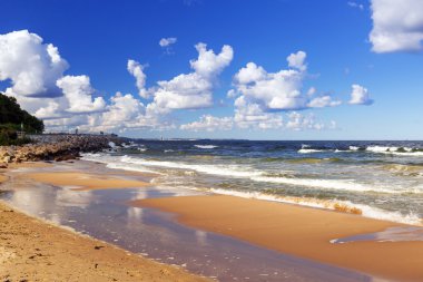Baltık Denizi beach