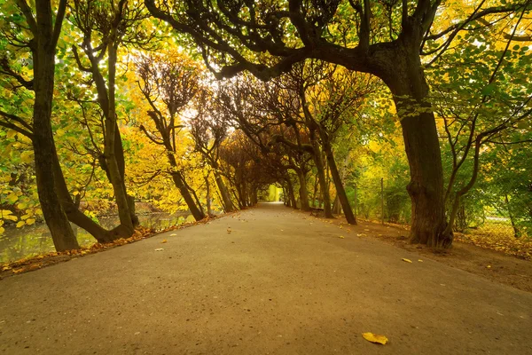 Φθινοπωρινό πάρκο δρομάκι — Φωτογραφία Αρχείου