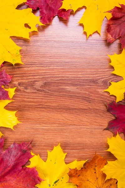 Podzimní rámeček s listy — Stock fotografie