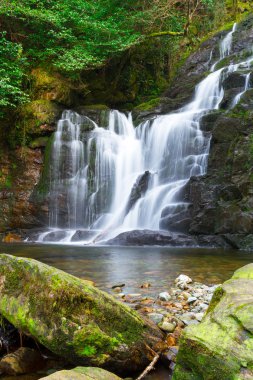 Killarney Ulusal Parkı 'nda Torc Şelalesi