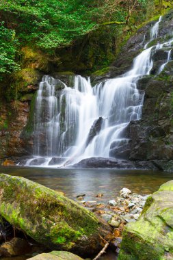 Torc waterfall in Killarney National Park clipart