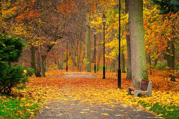 Herbstliche Allee im Park — Stockfoto