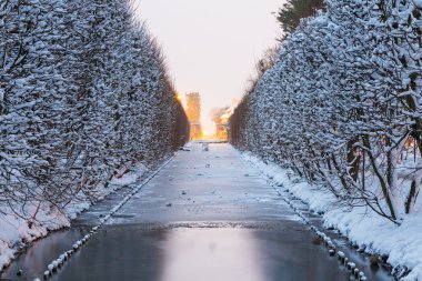 Gdansk karlı park sokakta kış