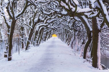 Gdansk karlı park sokakta kış