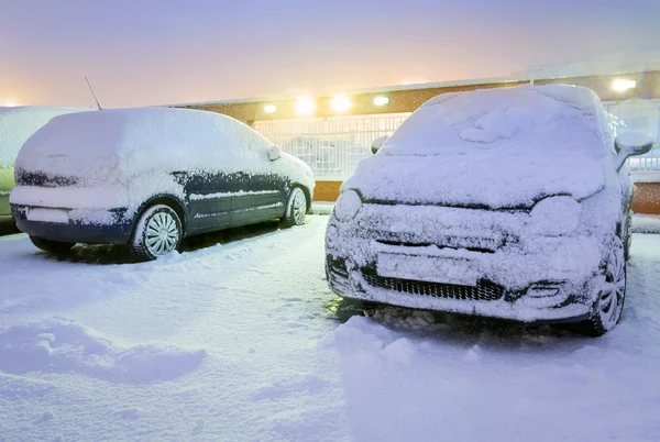 Winter attack — Stock Photo, Image