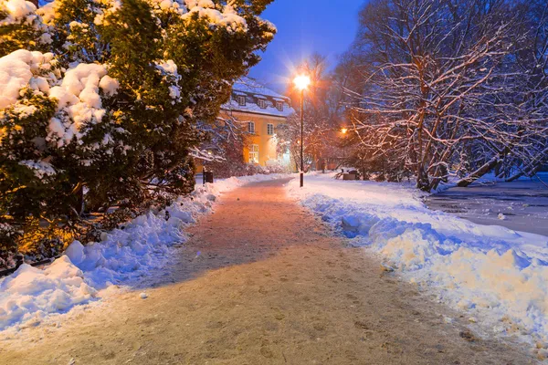 Kış manzarası Gdansk karlı park — Stok fotoğraf