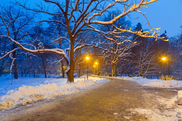 Kış manzarası Gdansk karlı park — Stok fotoğraf