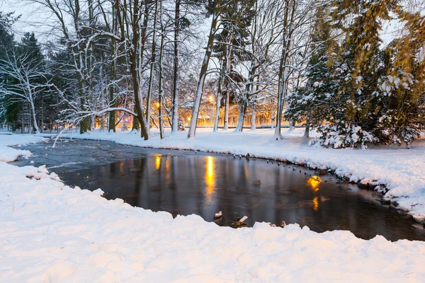 Callejón de invierno en el parque nevado de Gdansk — Foto de Stock