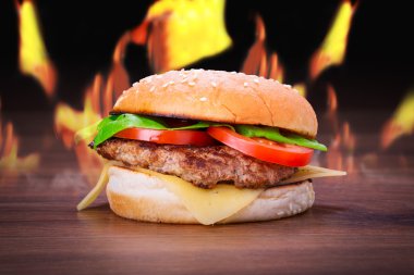 Hamburger alevler ile