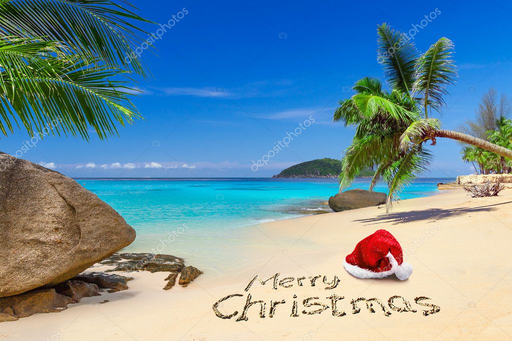 joyeux noël des tropiques — Photographie Patryk_Kosmider © 37390537
