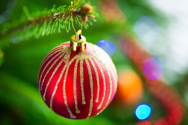 Beautiful bauble on Christmas tree — Stock Photo, Image