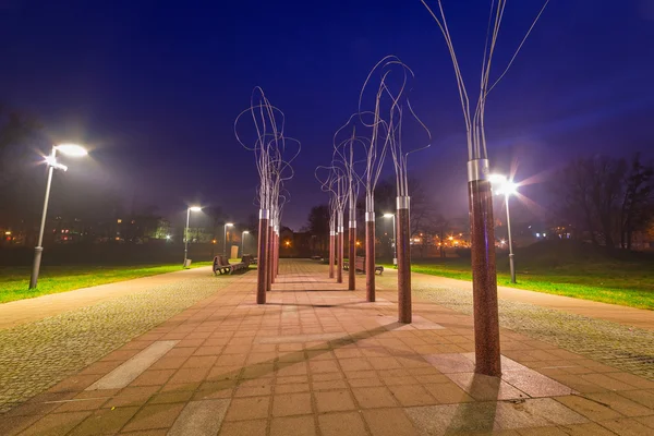 Pruszcz Gdanski por la noche, Polonia — Foto de Stock