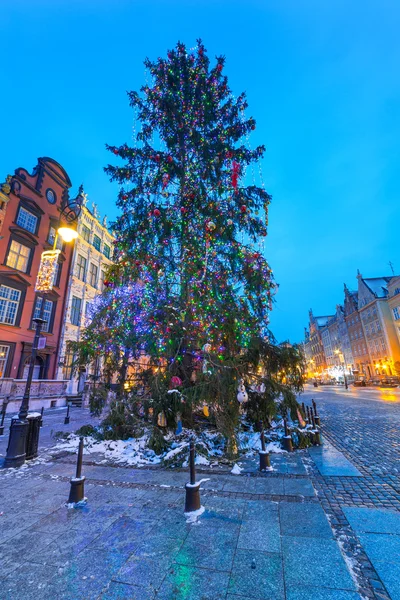 Kerstboom in de oude stad van gdansk — Stockfoto