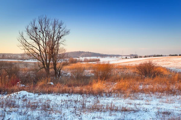 Zonsondergang in de winter over besneeuwde weide — Stockfoto