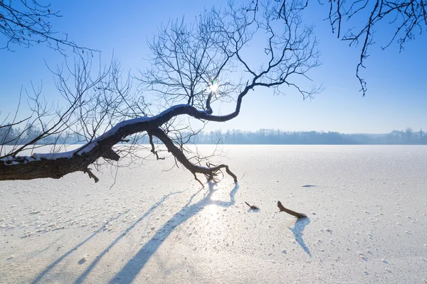 Paysage hivernal du lac gelé — Photo