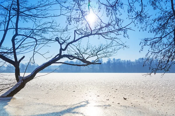 Χειμωνιάτικο τοπίο της λίμνης παγωμένο — Φωτογραφία Αρχείου
