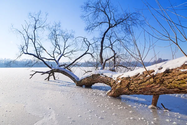 Zimowej scenerii Jeziora mrożone — Zdjęcie stockowe