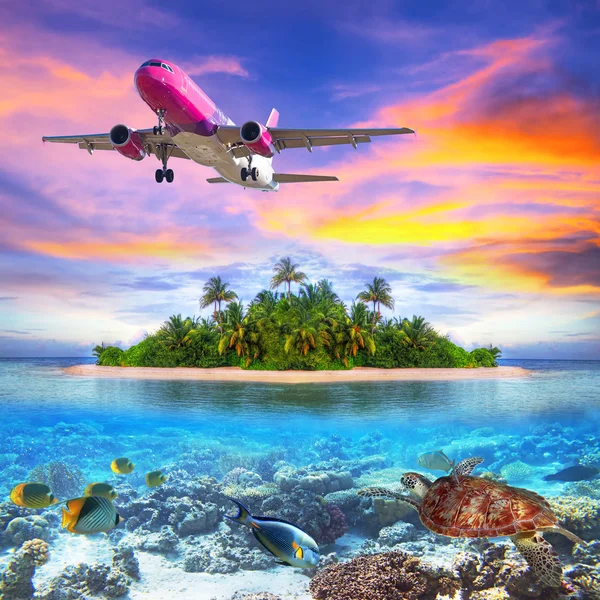 Holidays on the tropical island Stock Image