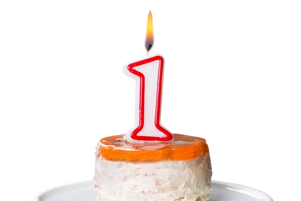 First birthday cake for dog with candle — Stock Photo, Image