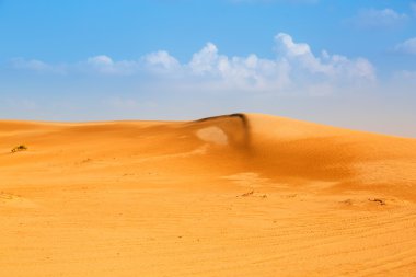 abu Dabi yakınlarında çölde kum tepeleri