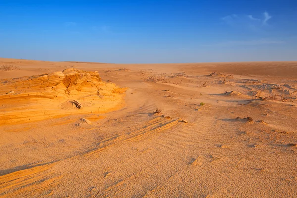 Sandstranden dynerna i öknen nära abu dhabi — Stockfoto