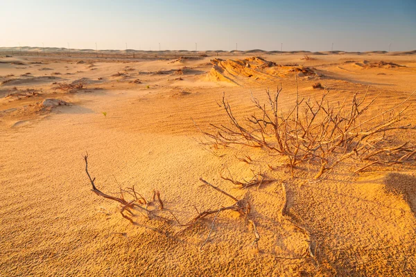 Sanddünen in der Wüste bei Abu Dhabi — Stockfoto