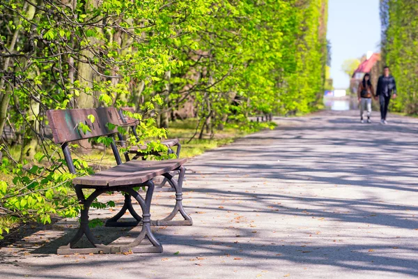 Mooie steegje met lege bankje in het park — Stockfoto