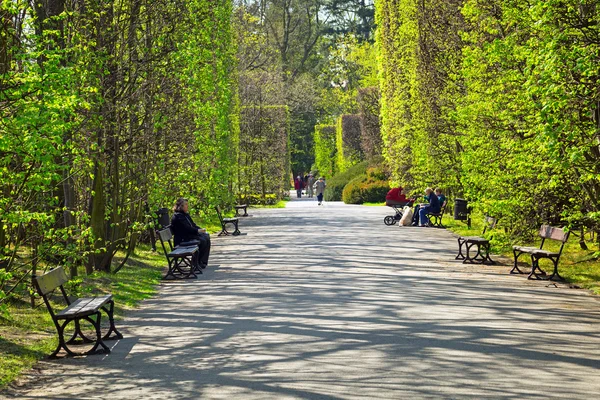 Lente in de park oliwski, gdansk — Stockfoto