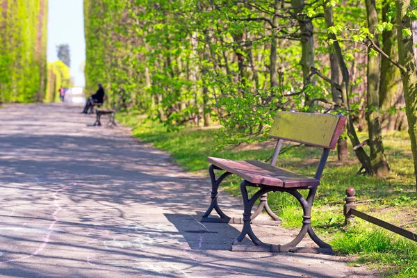 Beautiful alley with empty bench in the park — Stock Photo, Image