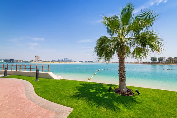 Praia no Golfo Pérsico em Abu Dhabi — Fotografia de Stock