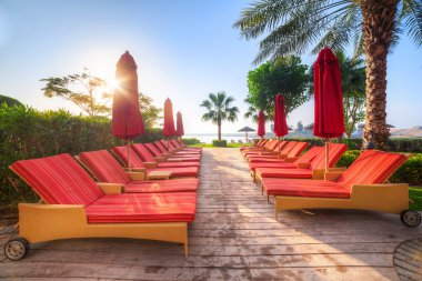 Deniz kenarındaki boş kırmızı şezlonglar