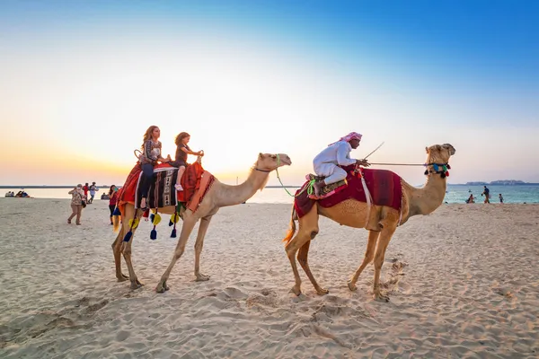 Camel ride on the beach at Dubai Marina — Stock Photo, Image