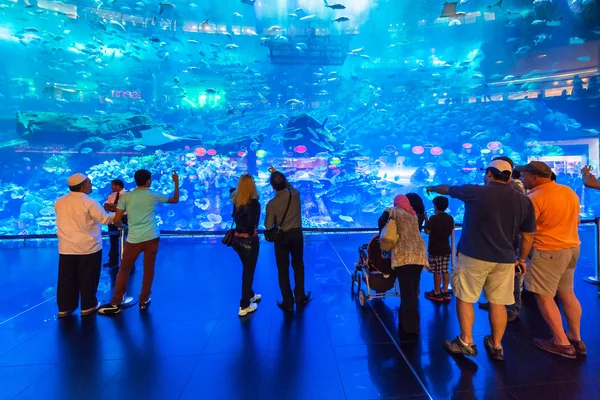 Mensen voor het oceanarium in dubai mall. — Stockfoto